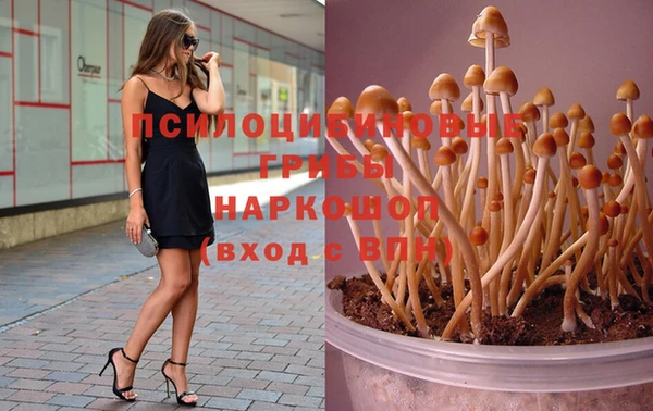 винт Баксан